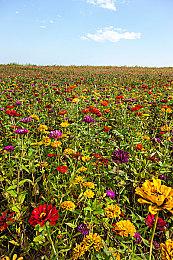 《漫威1943：九头蛇崛起》与电影对比视频 细节能以假乱真